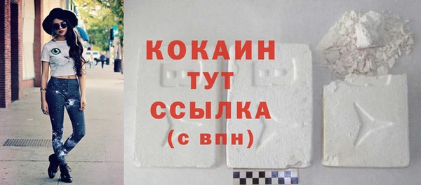 дмт Арсеньев