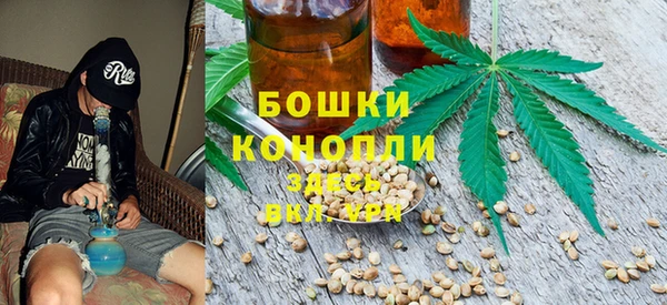 дмт Арсеньев