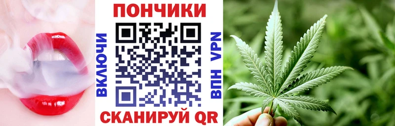 Каннабис гибрид  Можга 